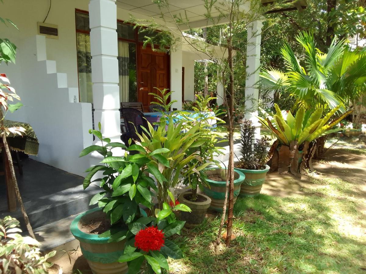 Freedom Home Stay Sigiriya Dış mekan fotoğraf